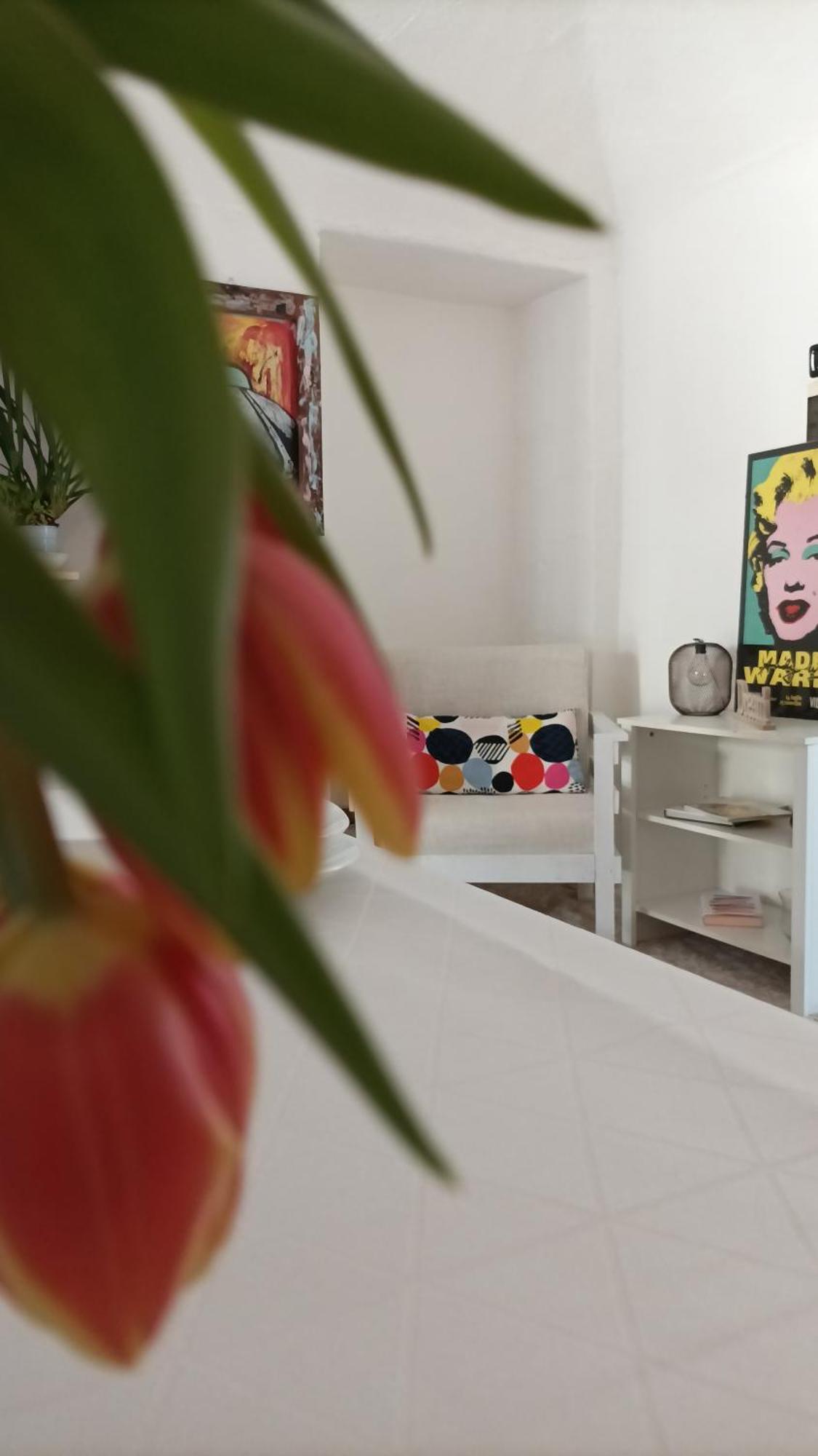 Quick Home - Interno 45 Biella Værelse billede
